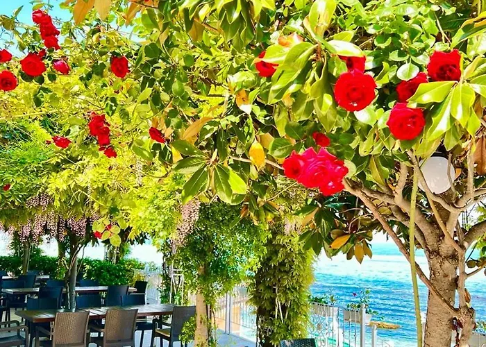 Apartman La Prime Time